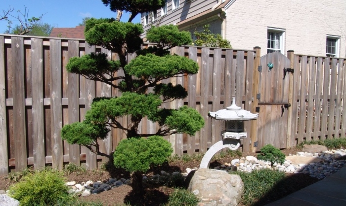 un carré de jardin zen, arbre japonais, lanterne, terreau, pierres galets et arbustes, palissade en bois diy