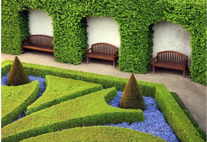 exemple comment paysager son jardin à la française, labyrinthe de buis, avec des fleurs violettes, bancs en bois, mur enveloppé de lierre
