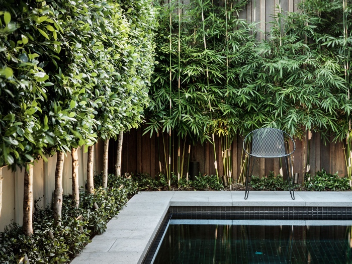 idée de génie jardin, piscine, clôture en bois, bambou, arbustes et plusieurs arbres comme cloison naturel