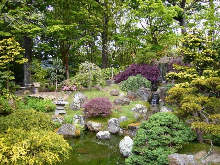 idée de petit étang, décoré de pierres, arbustes et arbres bas, déco de jardin zen qui imite la nature dans son état brut