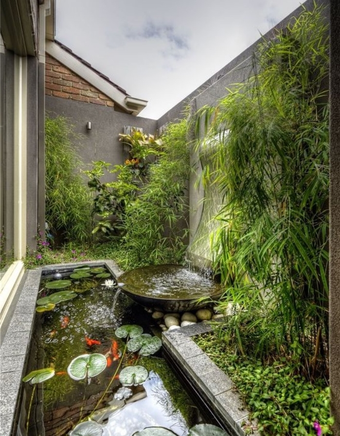 petite cour derrier maison, bassin carpe koi avec des carpes et des nénuphars, chute d eau et bambou vert