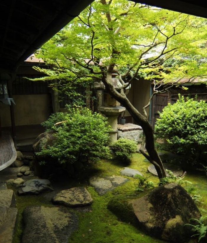 cour interieure maison japonaise, sol recouvert de mousse, arbres à feuilles vertes et buis verts, modele decoration zen