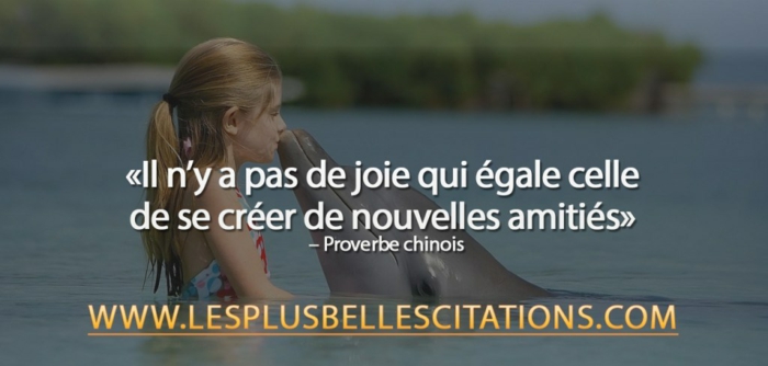 1001 Images Avec Citation Amitie Les Plus Belles Citations Du Monde