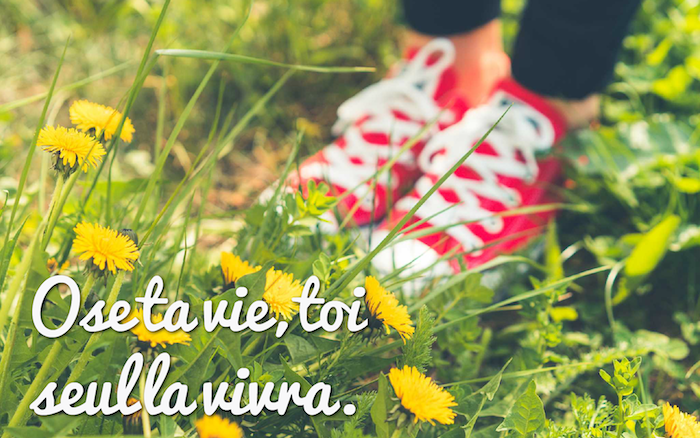 belle phrase sur la vie, photo de la nature avec herbe et fleurs jaune, baskets de toile en rouge avec lacets blancs