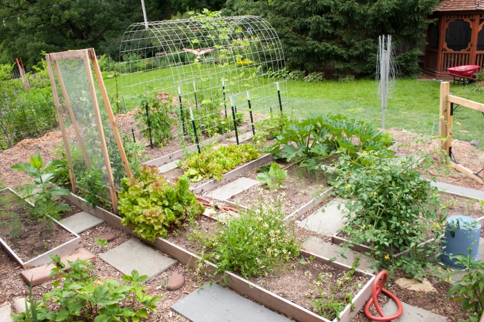 comment aménager un potager surélevé, idee jardin deco avec des carré différents pour les cultures différentes, serre de jardin