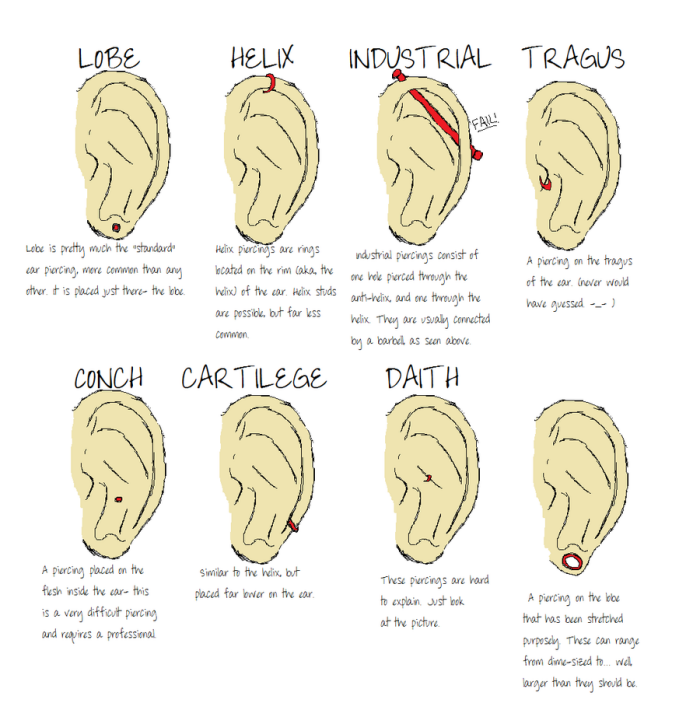 piercing femme, comment distinguer les différentes types de piercing d'oreilles, illustration avec information