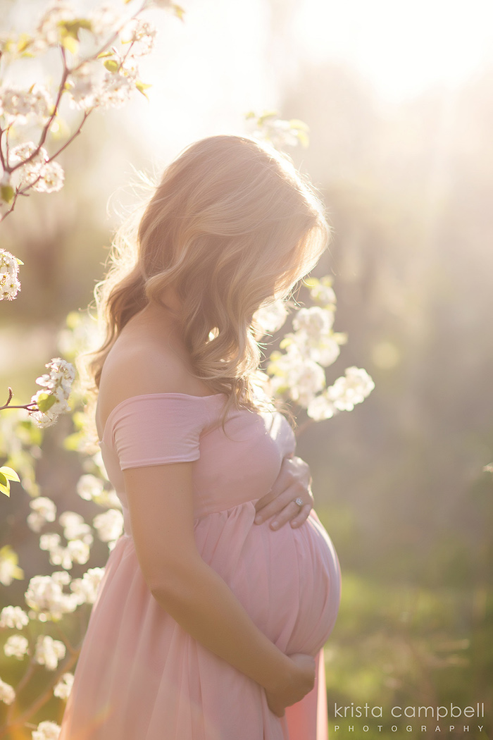 femme enceinte photographe photo de grossesse campagne fleurs couché de soleil photos souvenir 