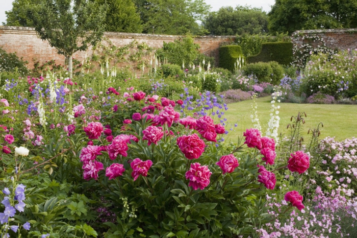 gazon jardin avec bordure parterre de roses et d autres fleurs à côté d un mur de clôture en briques, végétation florissante