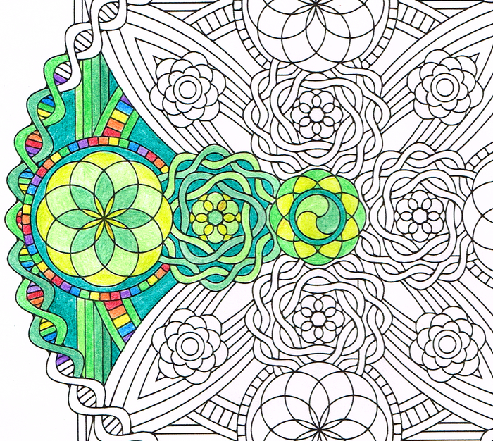 un joli dessin mandala à imprimer et à colorer à motifs floraux qui évoque un vitrail 