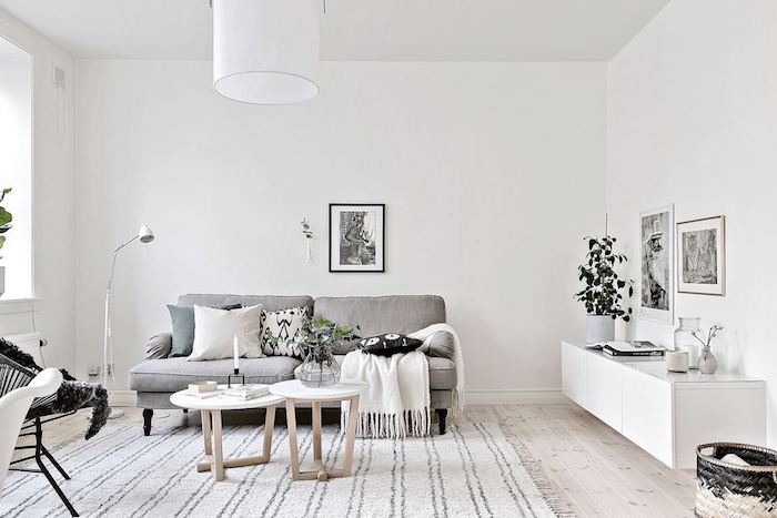 deco salon gris, avec murs blancs, canapé gris, coussins decoratifs blanc, bleue t noir tapis blanc et gris, parquet clair, tables basses en bois, chaise metallique noire