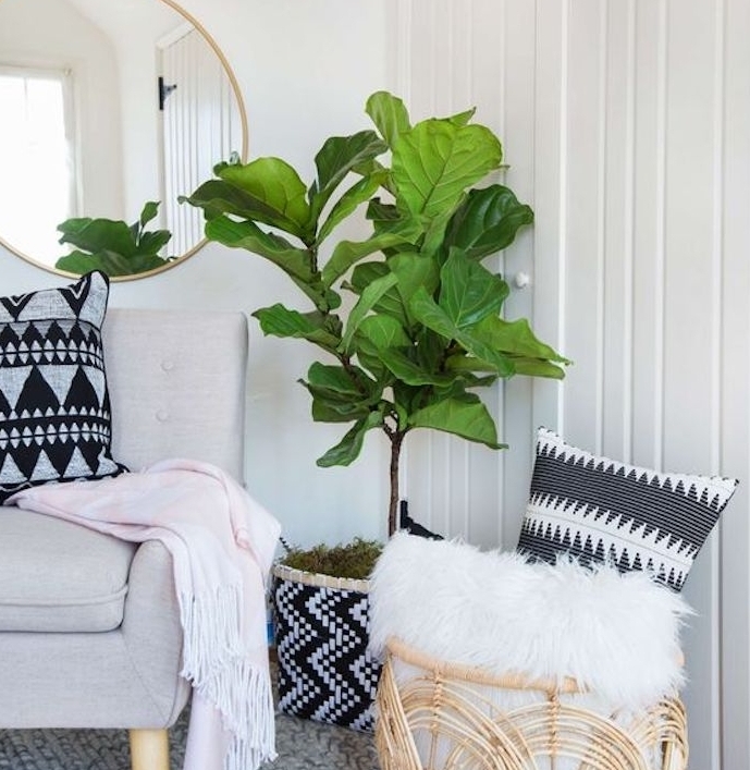 eco beige et gris avec tapis cocooning en laine tricotée, canapé gris, panier en bois rangement fourrure animale blanche, plante verte miroir rond, couverture rose clair