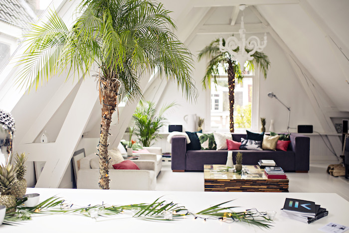 modele deco cocooning, canapé gris, fauteuils blancs, table basse en bois avec plateau en verre, palmiers decoratifs