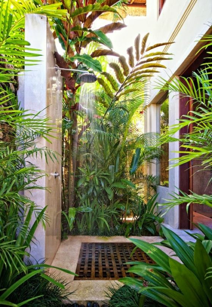 decoration salle de bain, plantes tropicales et simple douche extérieure