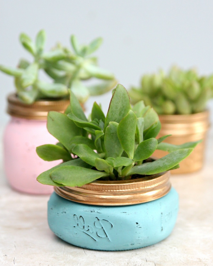 pot de fleur diy miniature fabriqué dans des pots en verre, repeints couleur bleu et rose pastel avec des succulents, déco avec de la récup