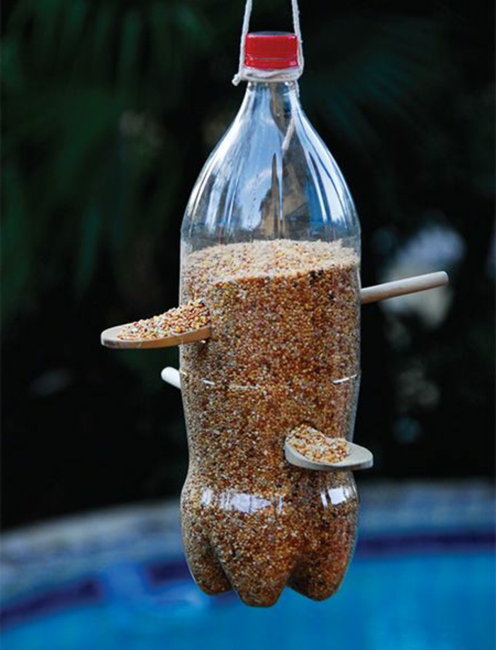 distributeur de graines, une bouteille plastique accrochée à une brahche