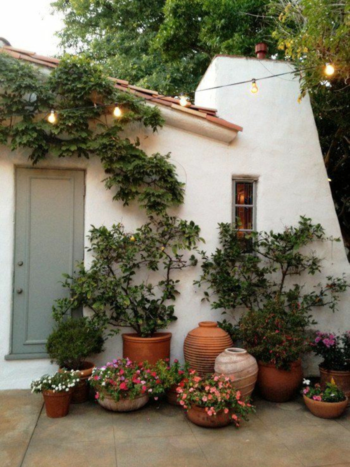 aménager son jardin das un style mediterranéen sous les oliviers avec plein de plantes du Sud de l Italie