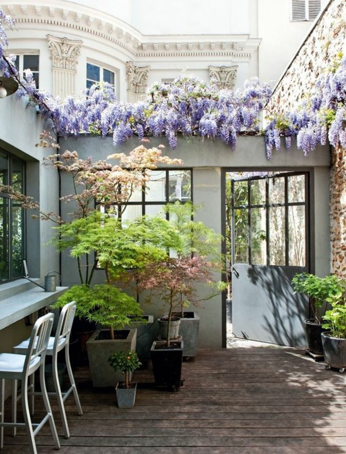 comment aménager son jardin avec des plantes rampantes en lila et en vert avec un bar et des chaises élégantes