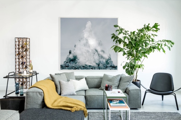 canapé et tapis gris, couverture jaune ocre, revêtement sol et mur blanc, plante verte, deco cadre peinture sur le mur