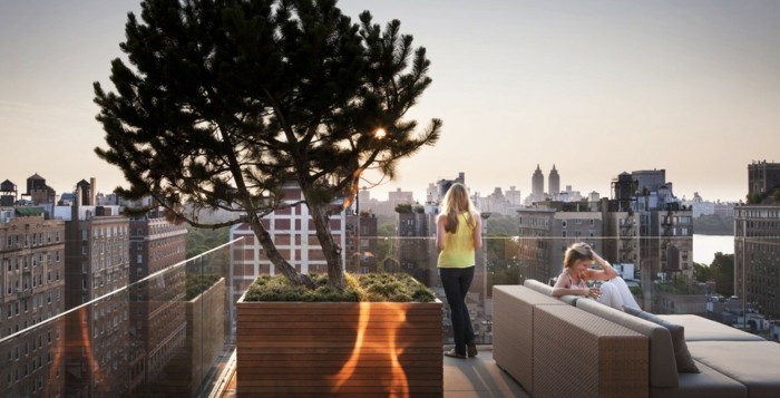 idée pour aménager une terrase moderne, zen bac a fleur en bois avec arbres, canapé beige avec coussin d assise gris