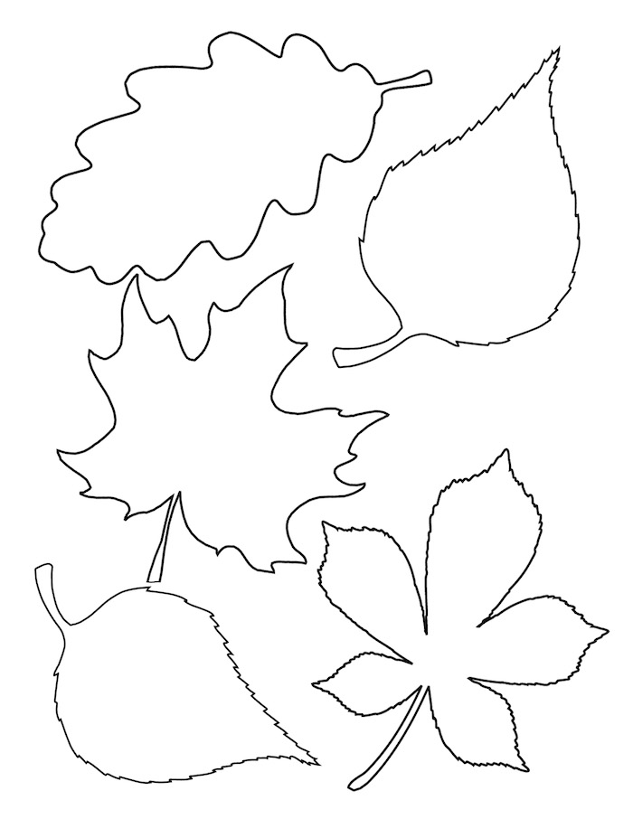 activité manuelle automne maternelle, gabarit feuilles mortes à imprimer, différentes types de feuilles