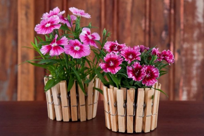 des pinces à linge transformées en cache-pot avec des fleurs rose, idee deco fait maison facile et rapide
