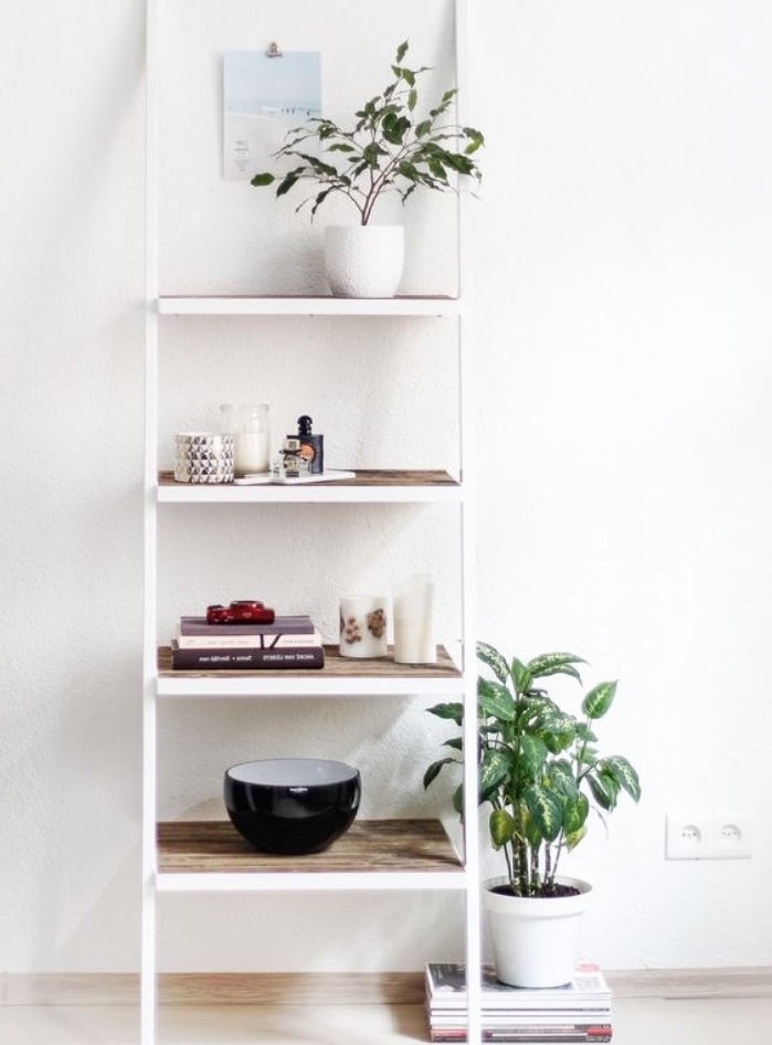 deco recup simple, une échelle blanche avec des marches en bois, étagère récup rangement accessoires déco et plantes