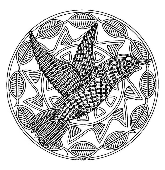 un mandala à colorier original à motif oiseaux 