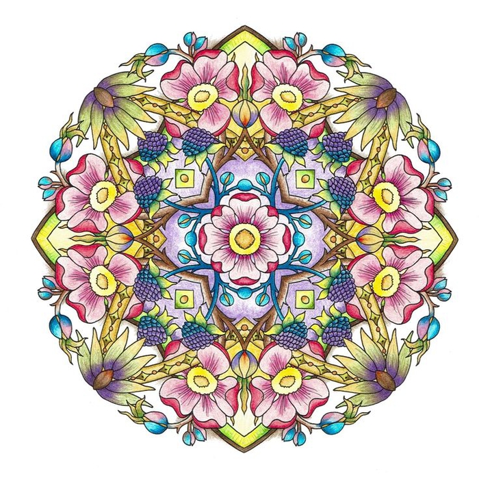 un coloriage anti stress de dessin mandala à motif jardin secret à ornements floraux 