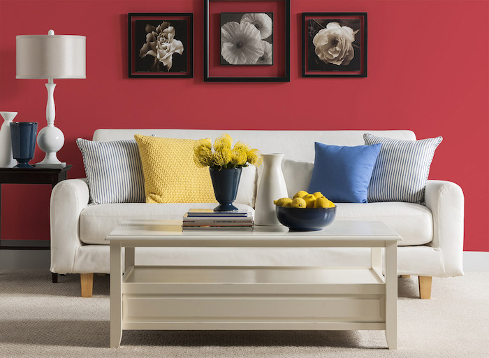 peinture rouge pour un mur d'accent, table basse et canapé blanc, tapis gris perle, coussin bleu, jaune, cadre noirs avec photographies de fleurs