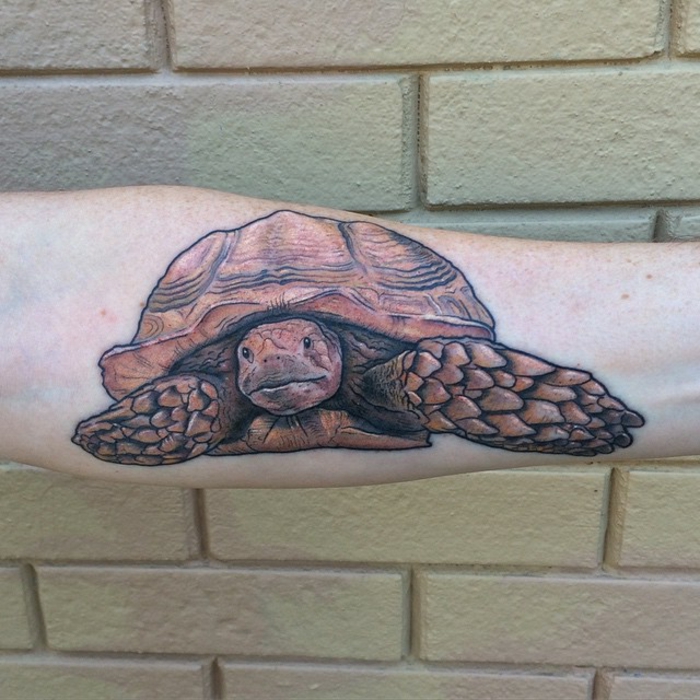 tatouage avant-bras homme, tortue réalistique, tortue terrestre tatouée à l'avant-bras