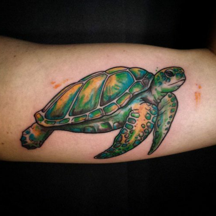 tatouage bras homme, tatouage réalistique, tortue sur le bras, créatures marines
