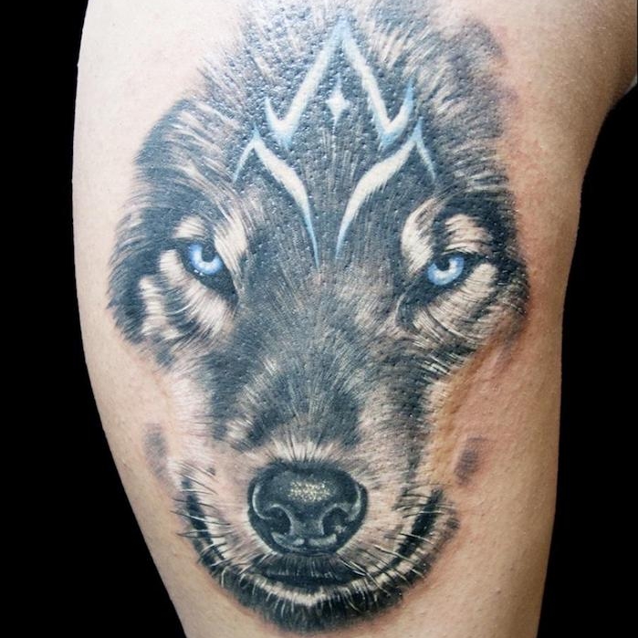 tatouage animaux, dessin tête de loup aux yeux bleus, idée tatouage symbolique avec animal