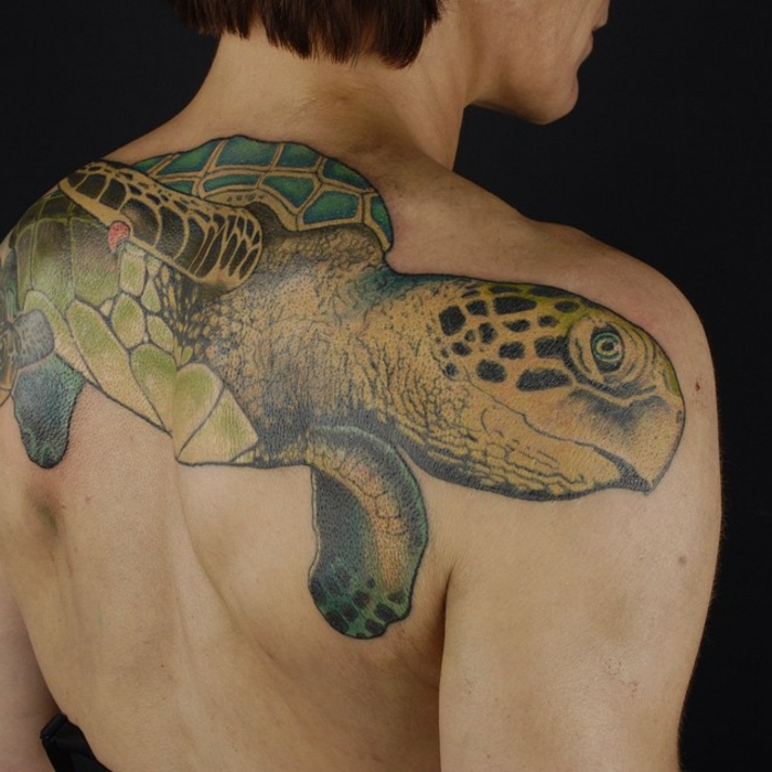 tatouage dos homme, tortue de mer géante tatouée au dos, image réalistique