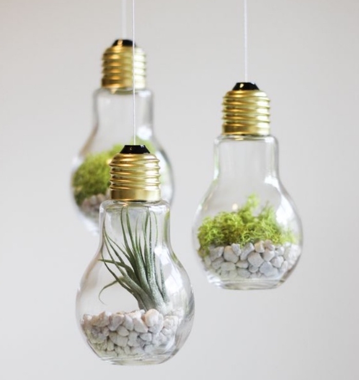 petits terrariums succulents suspendus avec gravier pour drainage, recyclage ampoule électrique, idee creation deco simple