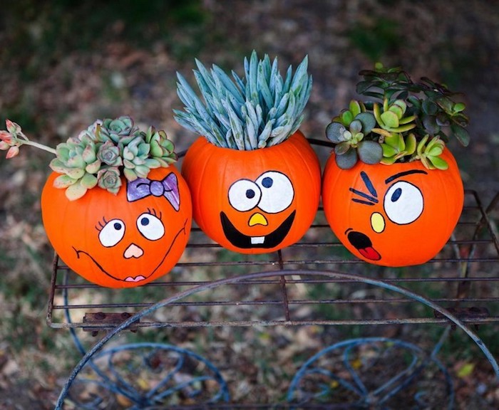 activité halloween avec des citrouilles orange et des succulents dedans, dessin visages rigolos