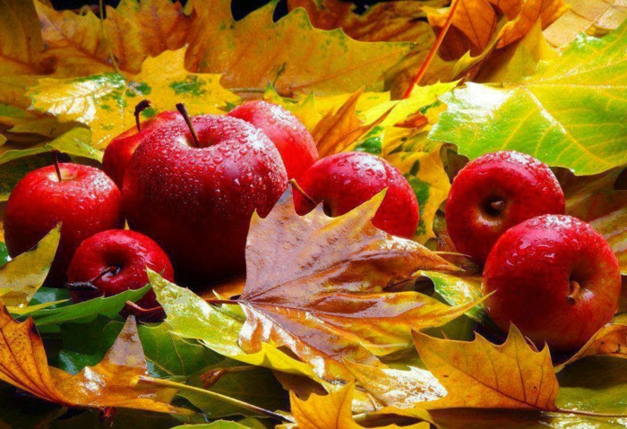 automne paysage fond d'écran hd, nature morte avec des pommes et des feuilles
