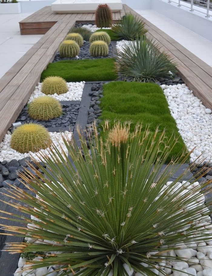 plantes grasses, déco de jardin en longueur, cactus verts sur parterre de cailloux et galets blancs e noirs