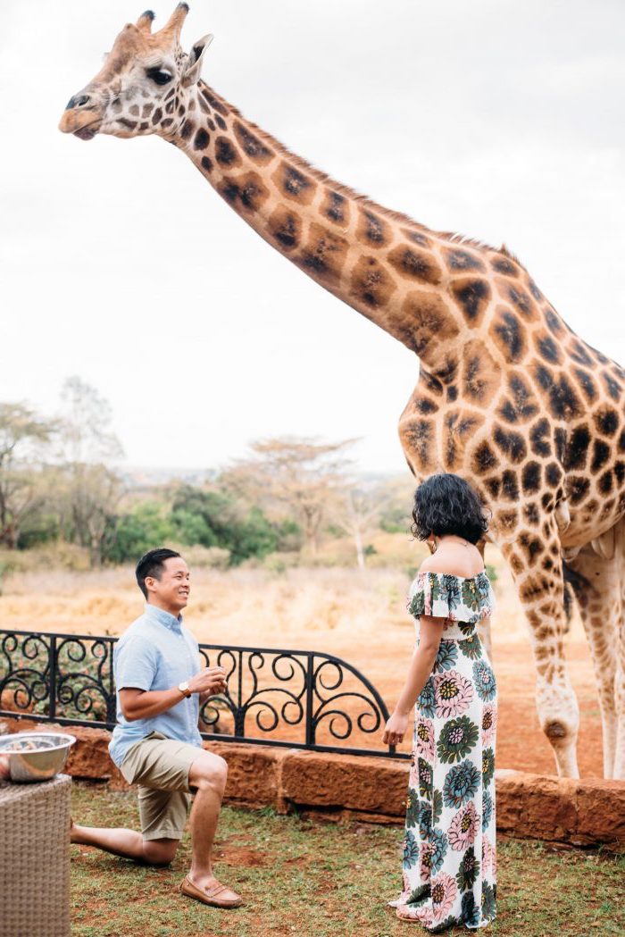 demande en mariage originale au cours d un voyage en afrique, visite des girafes, parc exotique, proposition originale