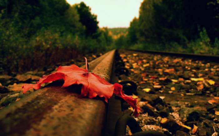 fond d'écran automne, jolie composition avec une feuille rouge sur les rails