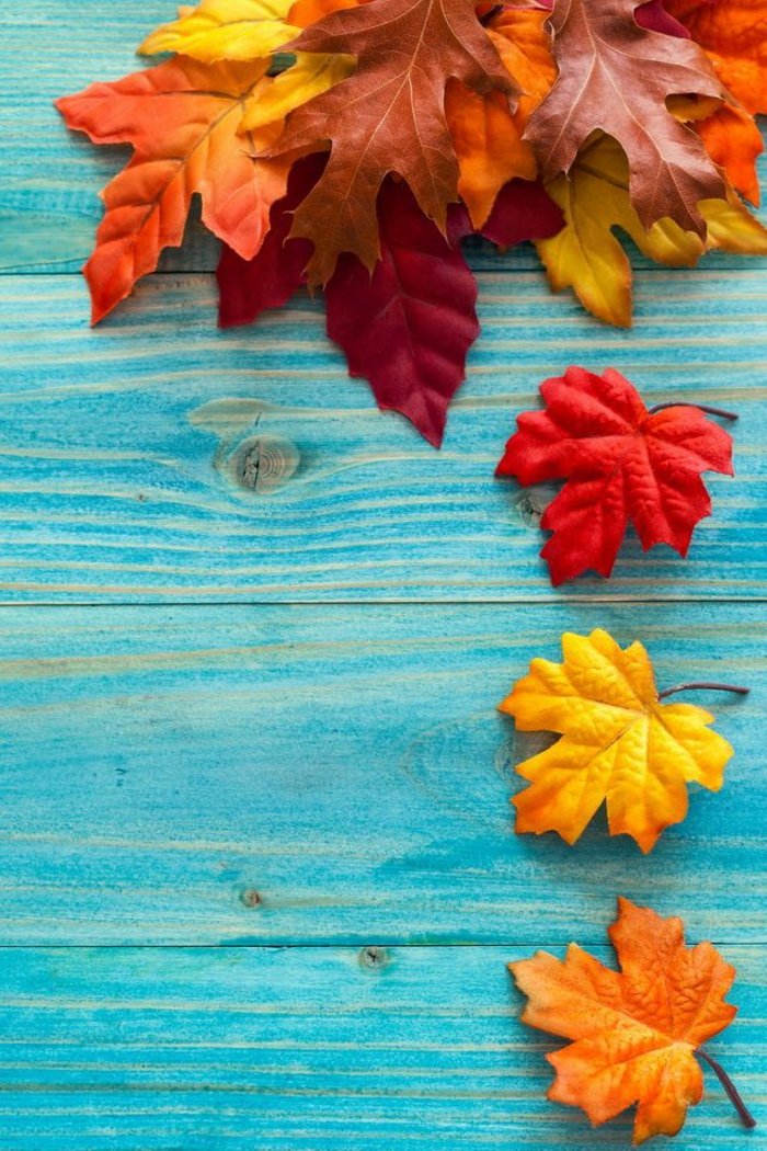fond d'écran gratuit automne, table peinte bleue et feuilles en couleurs diverses