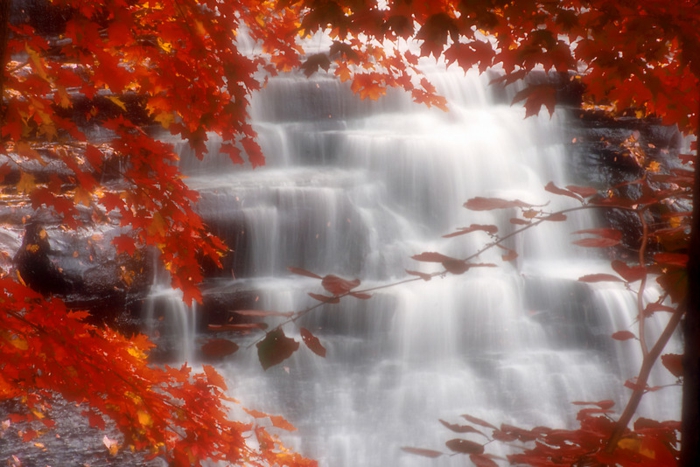 fond d'écran hd paysage, jolie cascade d'eau dans une forêt magnifique
