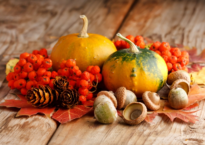 fond ecran automne, citrouilles et fruits d'automne, nature morte en plusieurs couleurs