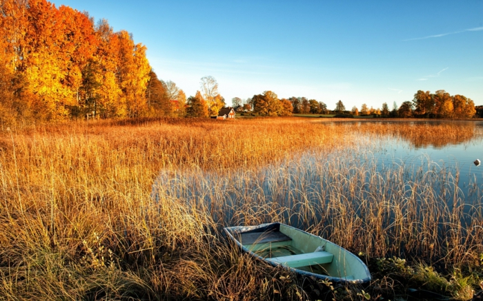 images d'automne pour fond d'écran, barque solitaire au bord d'un lac calme