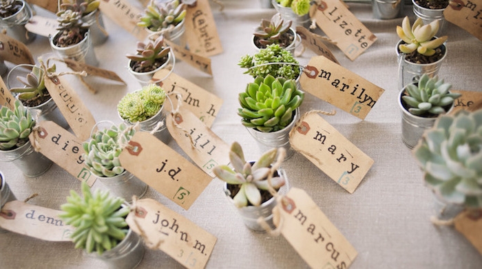 idée comment fabriquer une marque place à partir de seau miniature avec des succulents dedans et étiquette nom invité en papier kraft