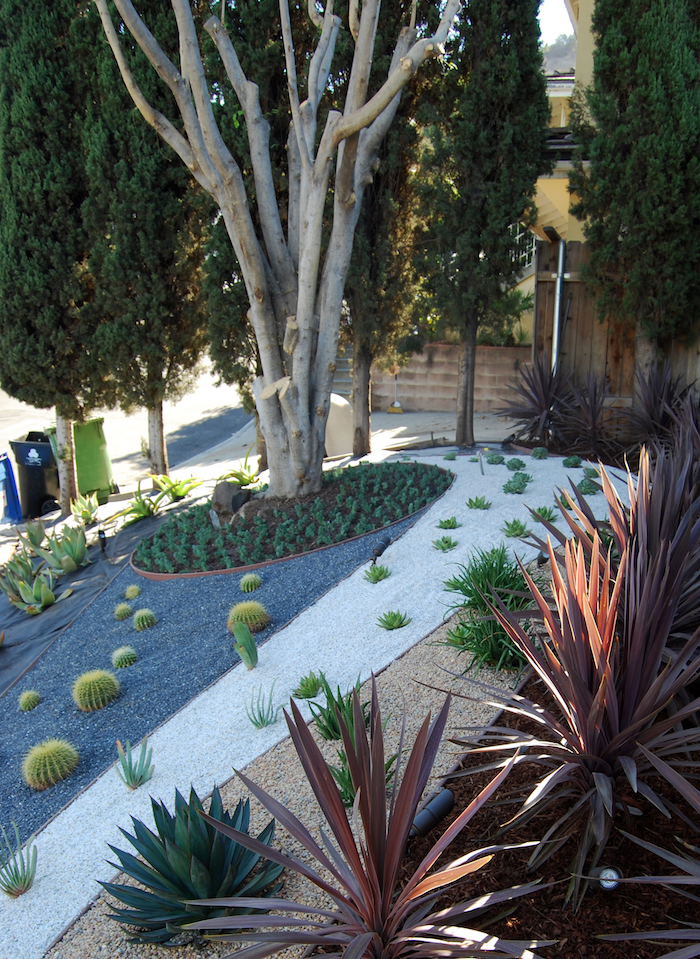 idee deco jardin, organisation de jardin sur colline, petites plantes vertes et cactus sur galets et cailloux