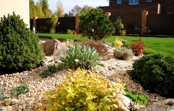 decoration exterieur, organisation de jardin avec cailloux et galets, plantes vertes et jaunes