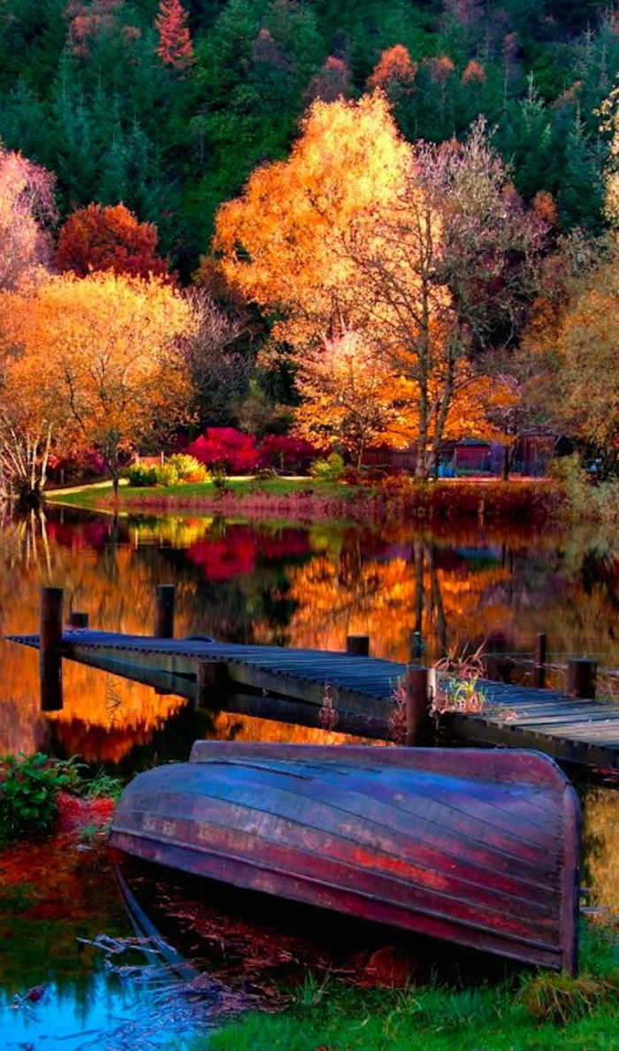 paysage automne, les arbres et leurs réflexions dans l'eau, una barque
