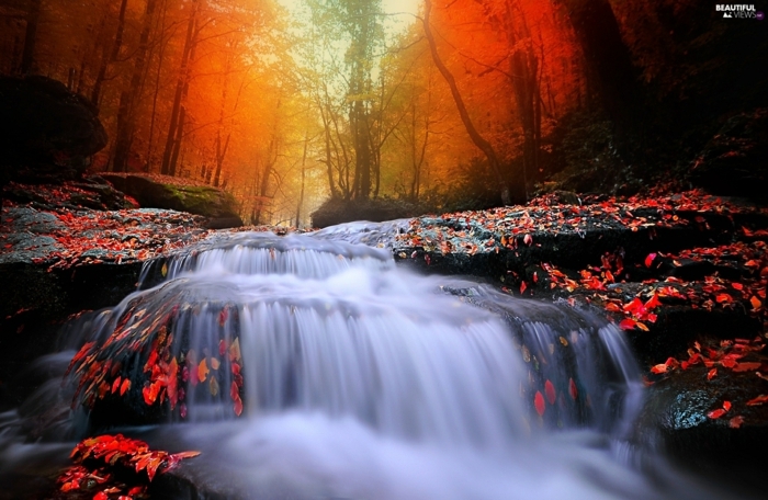 paysage automne, la lueur rouge du soleil, cascades d'eau et feuilles rouges
