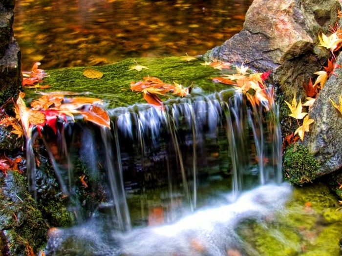 paysage automne, une grande pierre et une chute d'eau dans la forêt