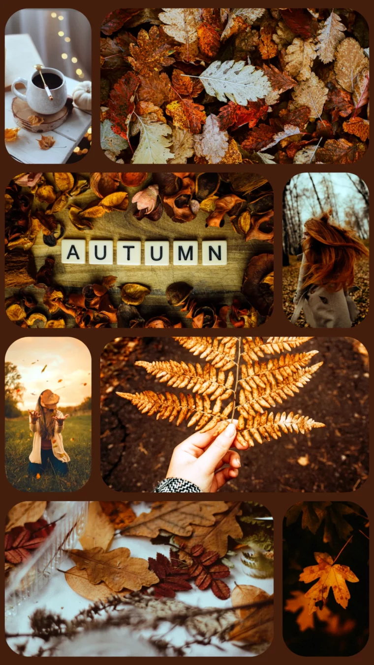 photo d automne original pour l ecran de mon telephone collage